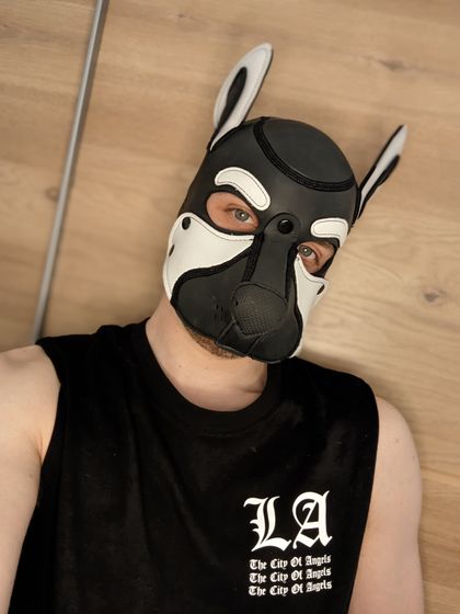 pupmaxxi OnlyFans picture