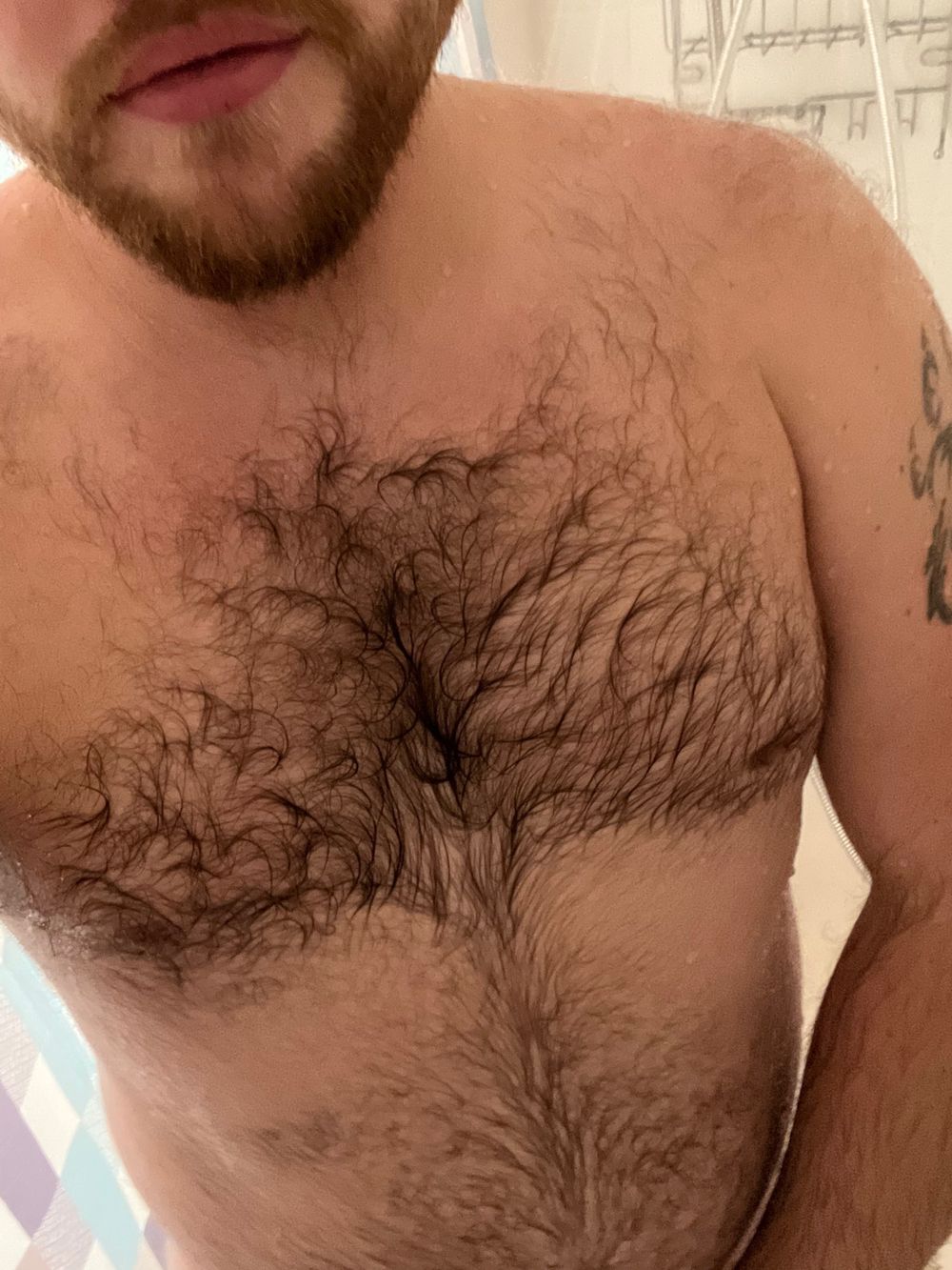 logantroyxxx OnlyFans profile picture