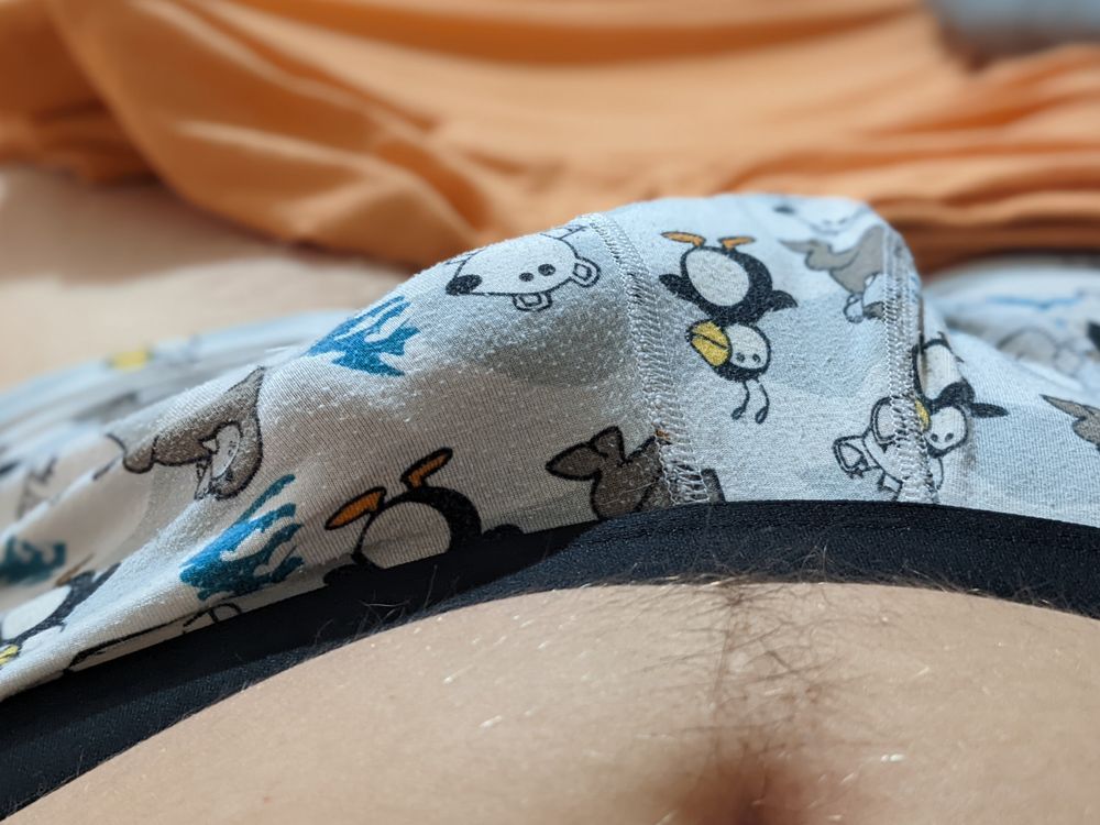 otter_grey OnlyFans profile picture