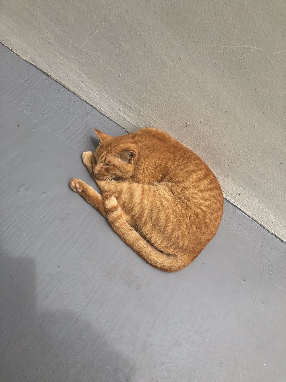 urmokhi OnlyFans profile picture