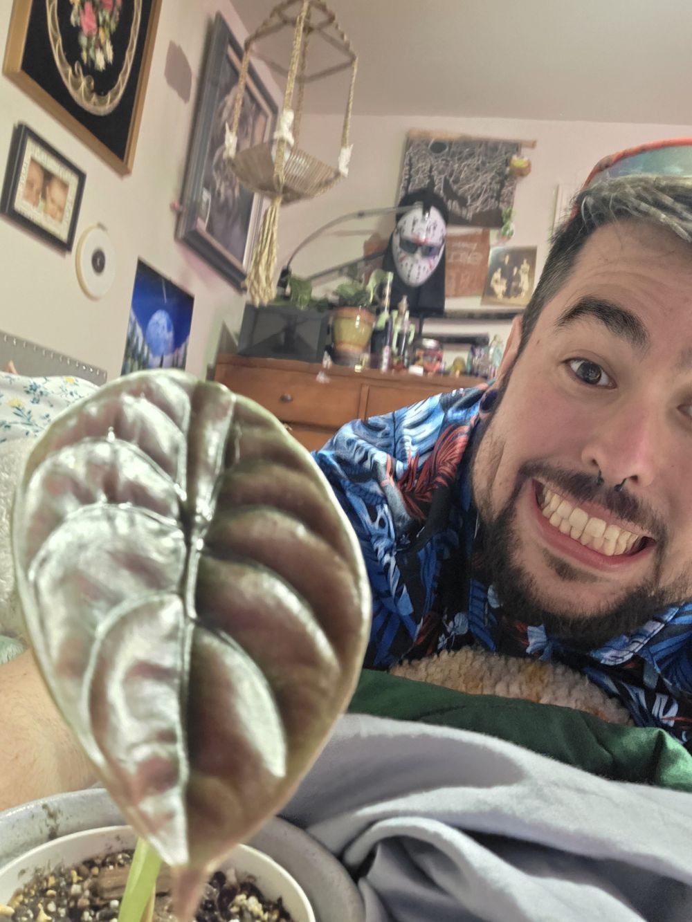 bigdaddy0088 OnlyFans profile picture