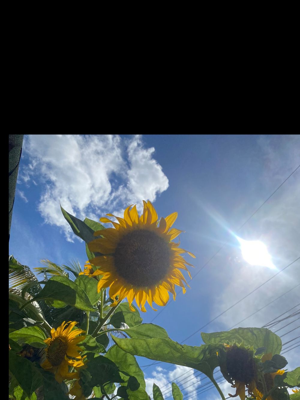 gyga29 OnlyFans profile picture