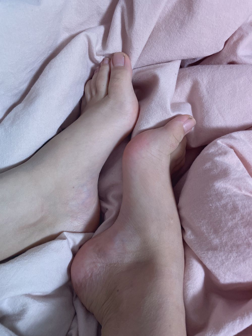 sophiameyerr OnlyFans profile picture