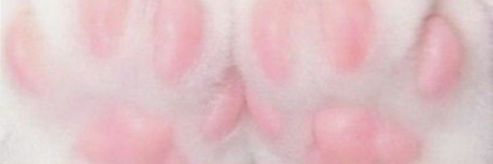 uwu_kitty_uwu OnlyFans profile picture
