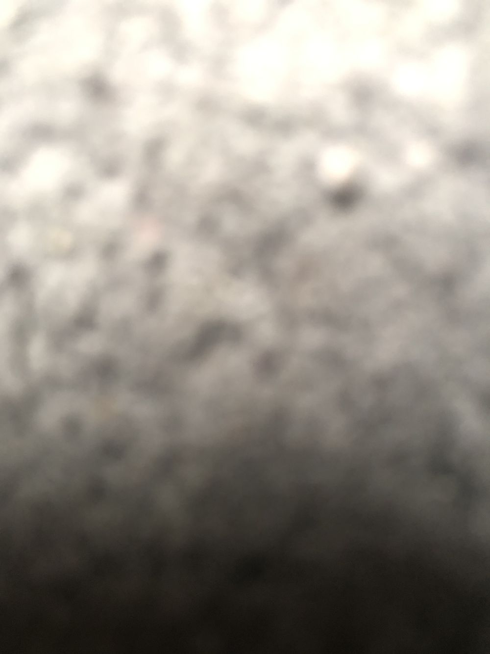 a6969696420 OnlyFans profile picture