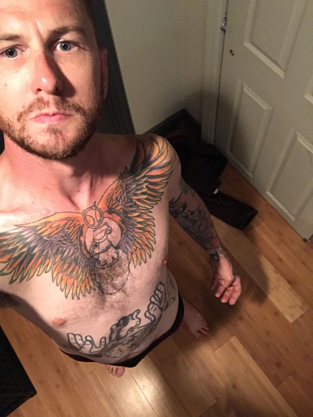 wolfintheknightvr OnlyFans profile picture