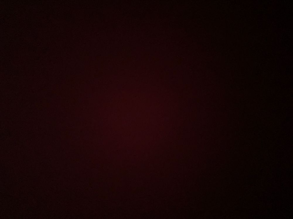 xenon19 OnlyFans profile picture