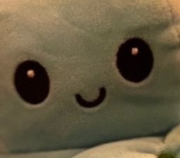 realmooncat OnlyFans profile picture