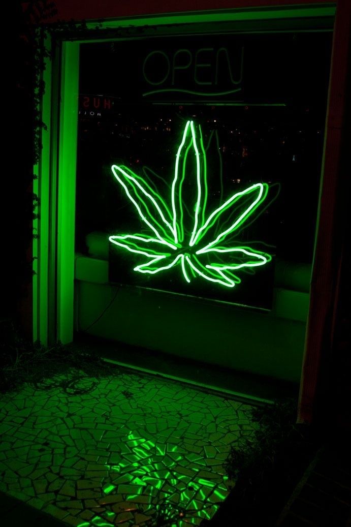 fourtwentyweedy OnlyFans profile picture