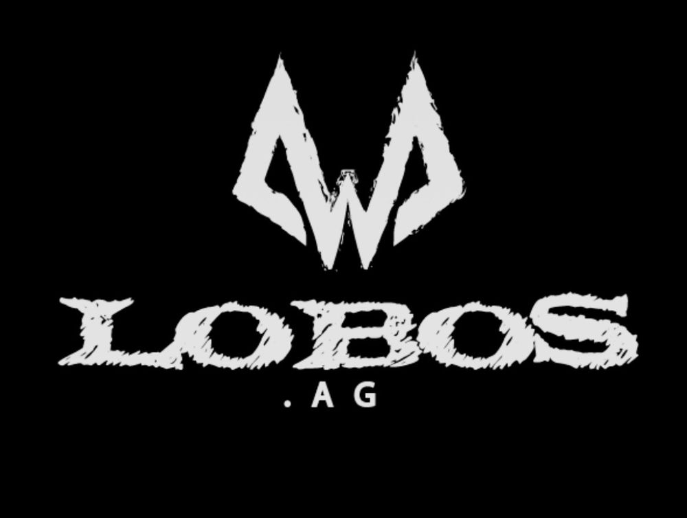 wolfs305 OnlyFans profile picture