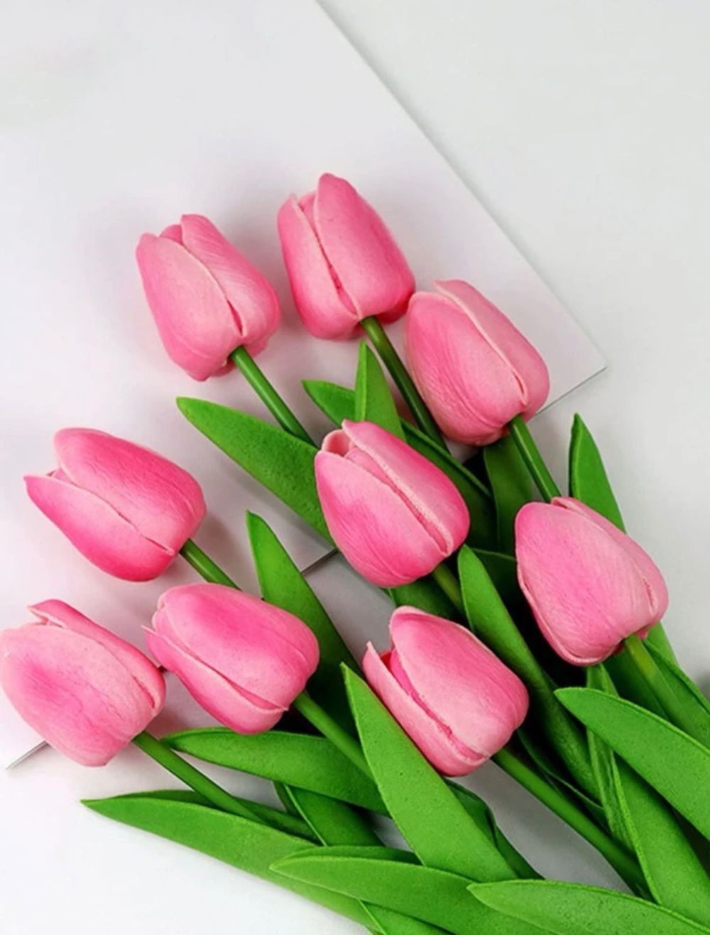 whisperingtulips OnlyFans profile picture