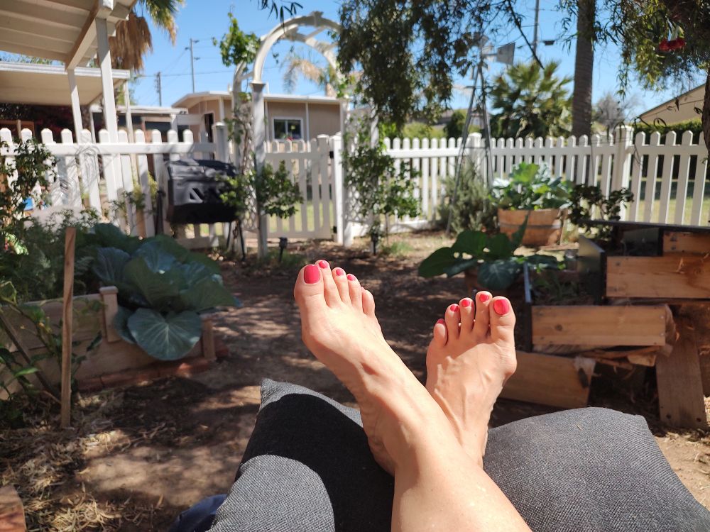 bootyandbunions OnlyFans profile picture