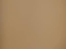 brownskinbrooke OnlyFans profile picture