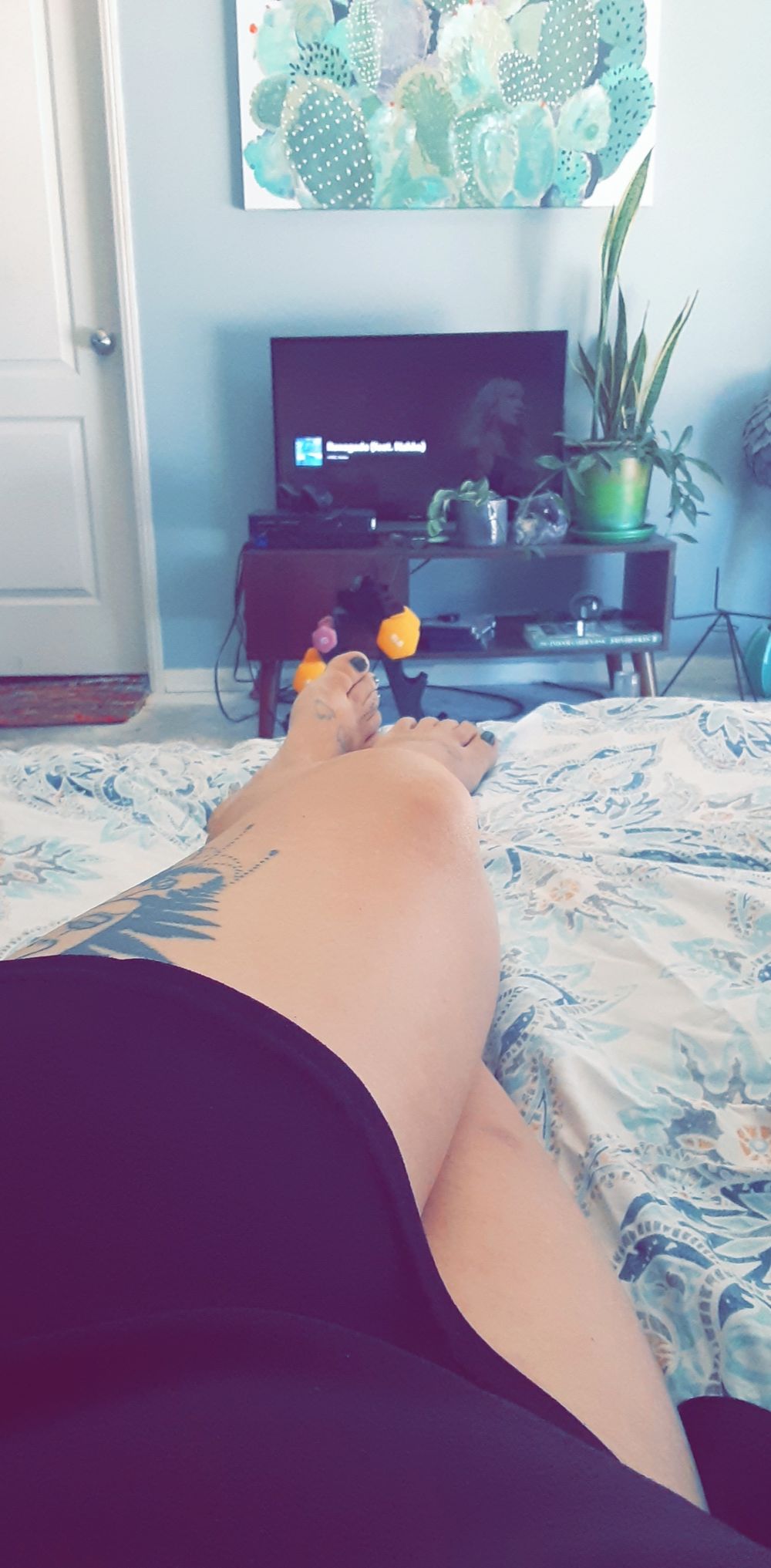 angelinatoelee OnlyFans profile picture