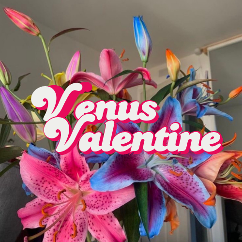venusvalentineee OnlyFans profile picture