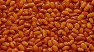 thatbeanieweenie OnlyFans profile picture