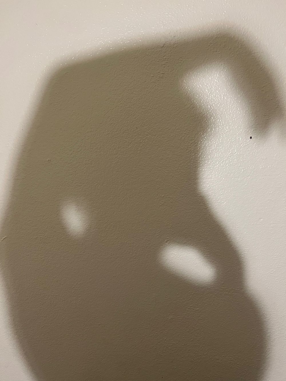soulsukka OnlyFans profile picture
