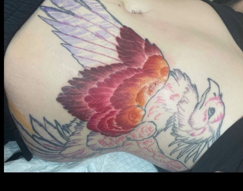 tattedpheonix OnlyFans profile picture