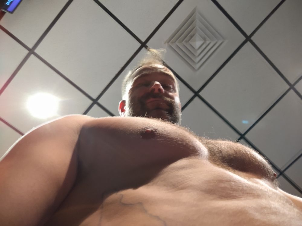 ponyboy603 OnlyFans profile picture