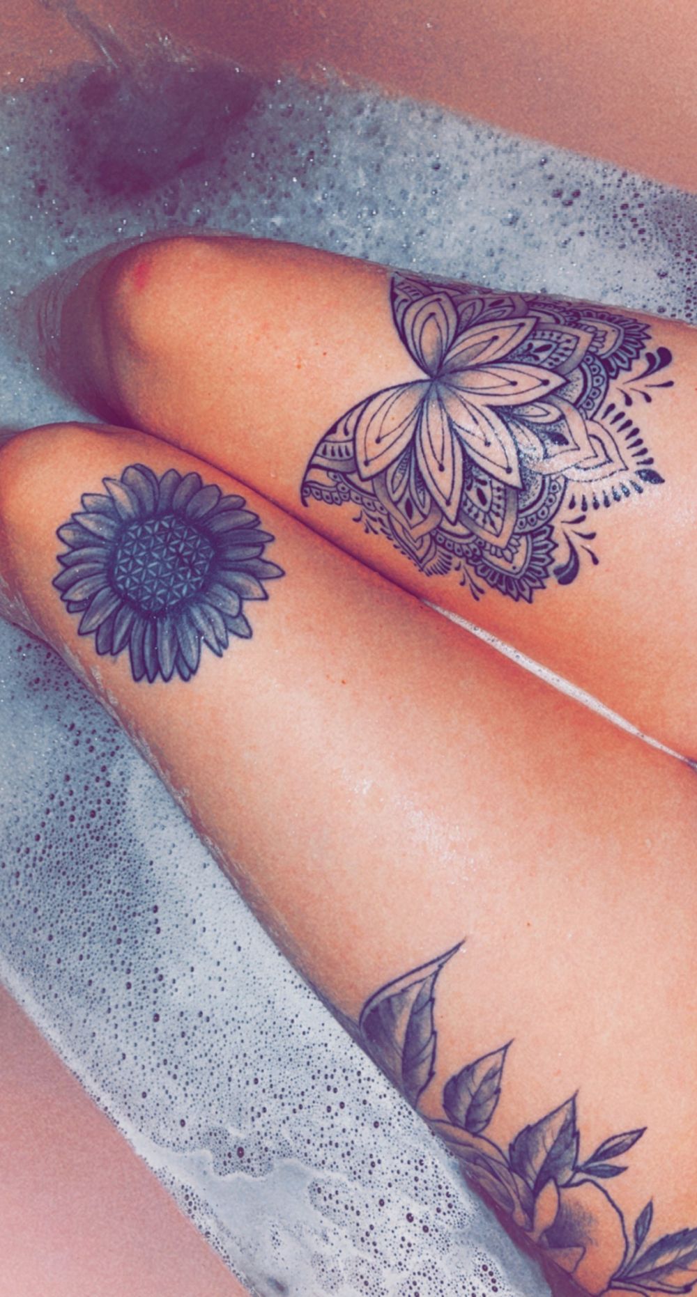 clarebearx OnlyFans profile picture
