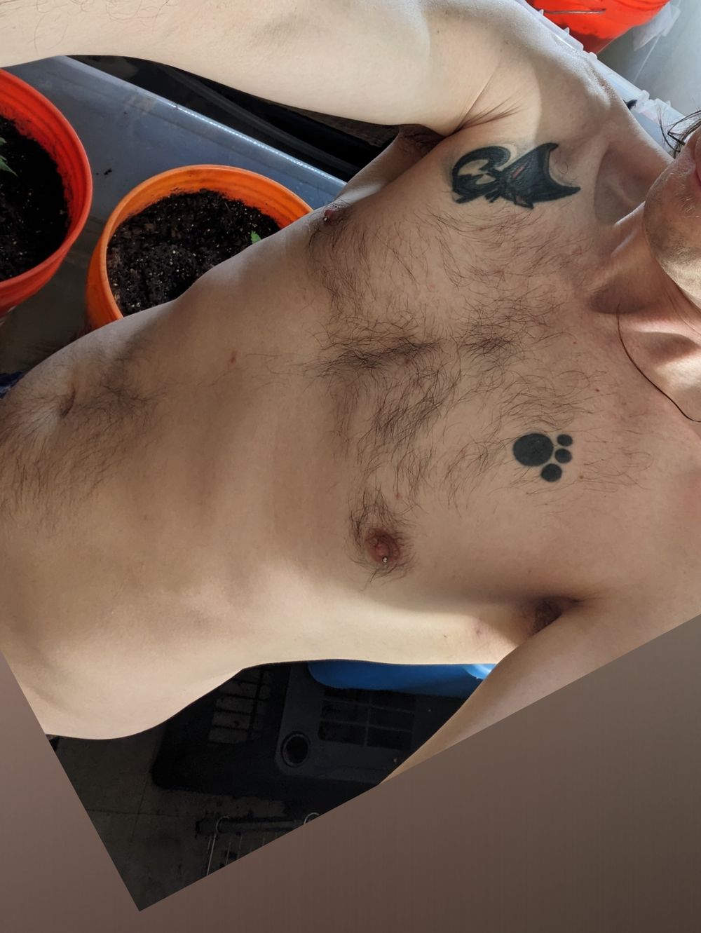 meowwcoww OnlyFans profile picture