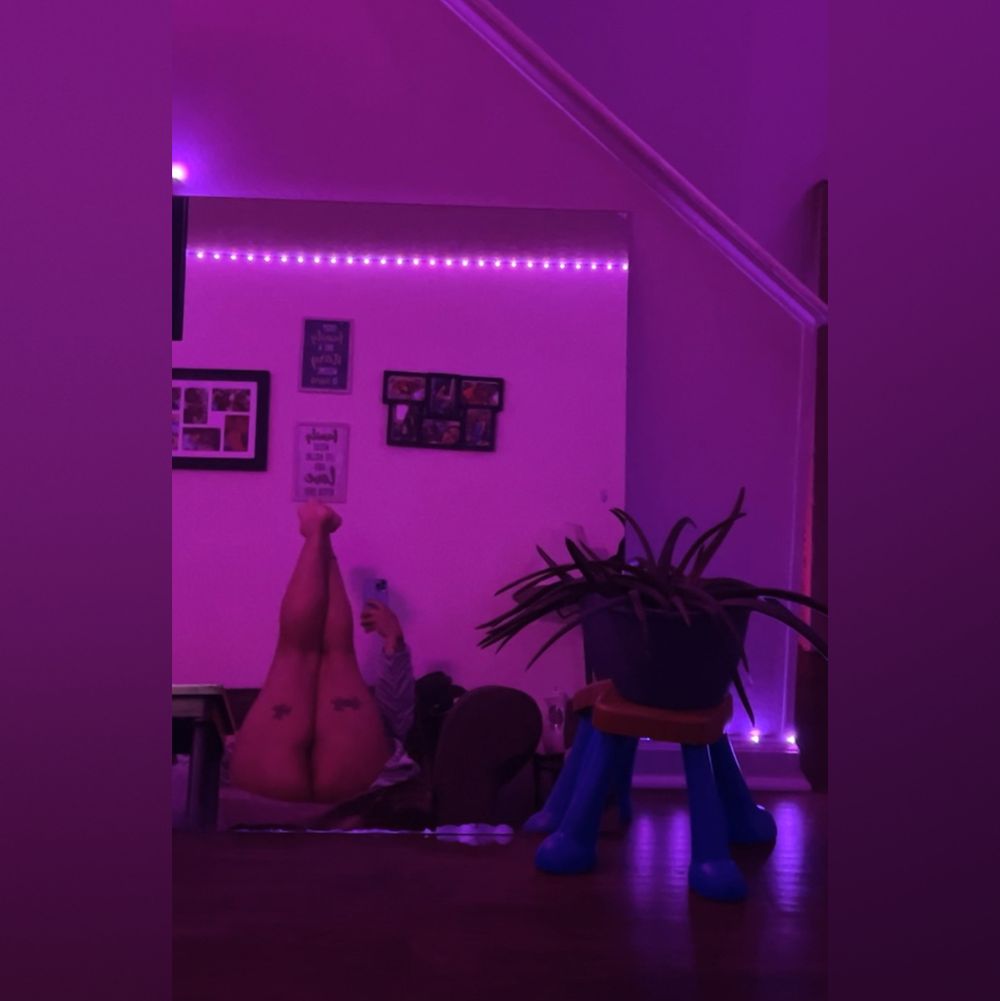 hollysplayhouse OnlyFans profile picture