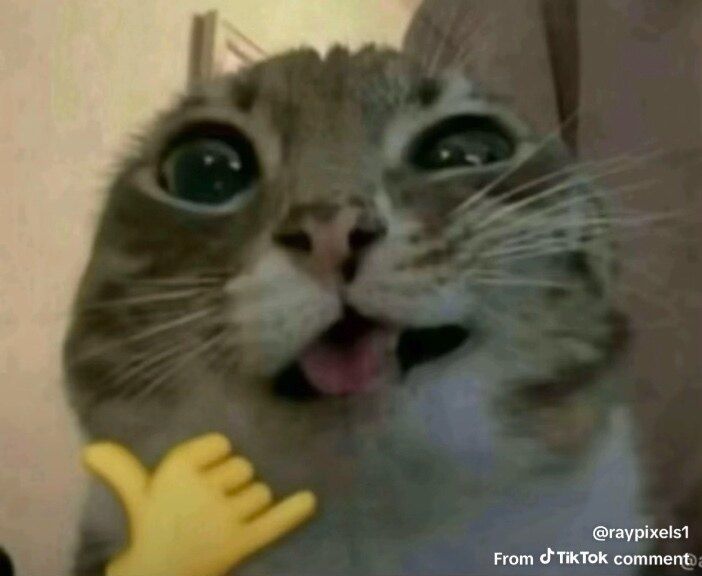 yesitsraeee OnlyFans profile picture