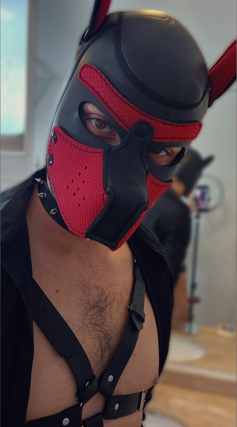 doggyasmrstyle OnlyFans profile picture