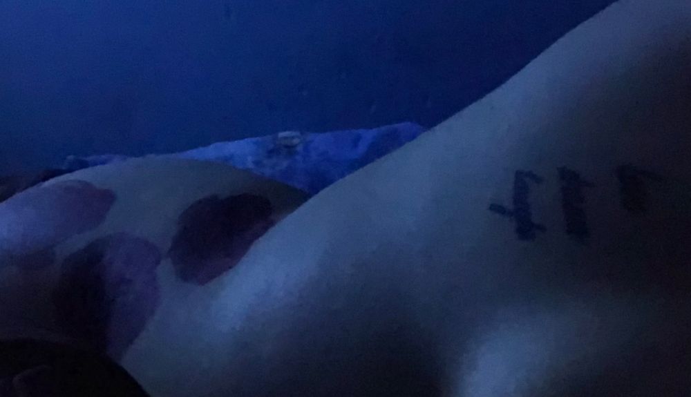 onlyari1 OnlyFans profile picture