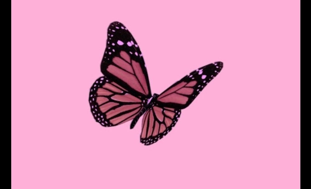 grac3xxx OnlyFans profile picture