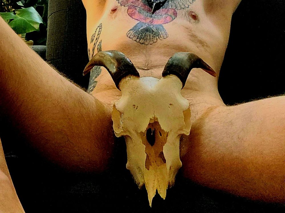 averybody OnlyFans profile picture