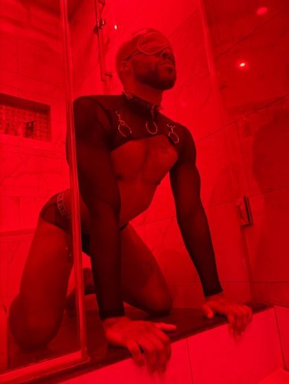 kingofkingsz OnlyFans picture