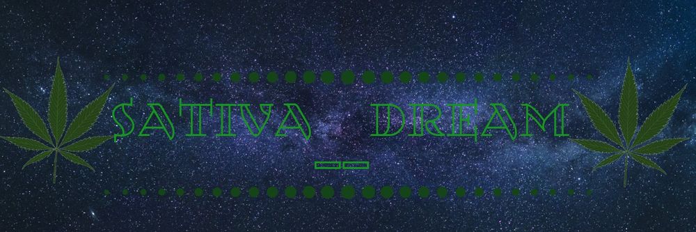 sativa__dream OnlyFans profile picture