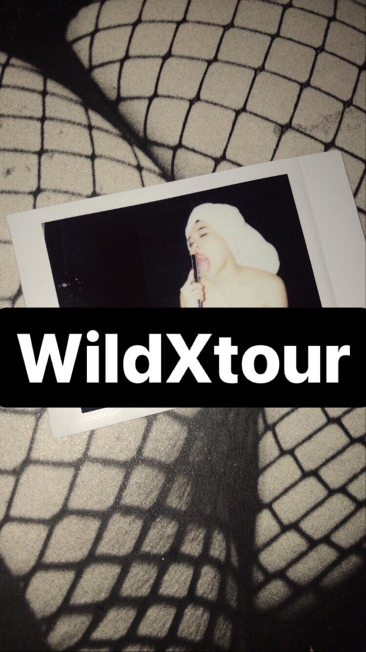 thewildxgirls OnlyFans profile picture