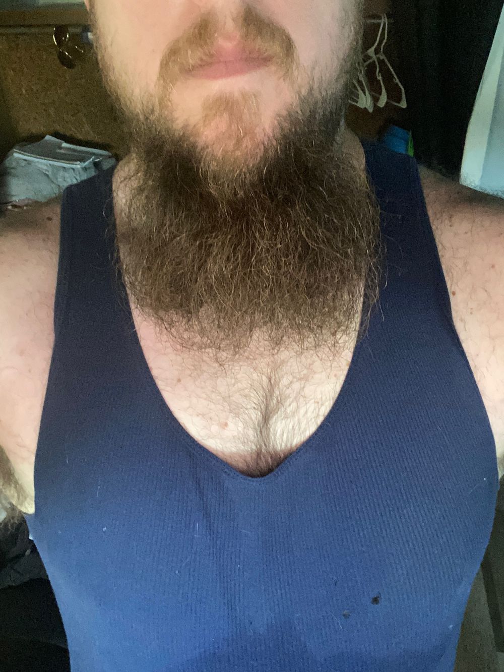 steveg08 OnlyFans profile picture