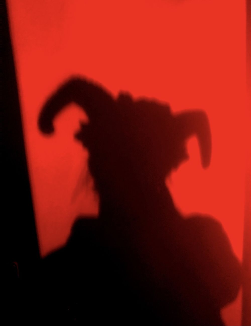 necrossvamp OnlyFans profile picture