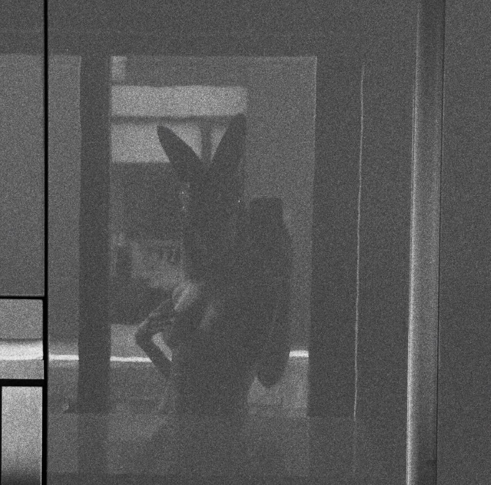 boredbunny777 OnlyFans profile picture
