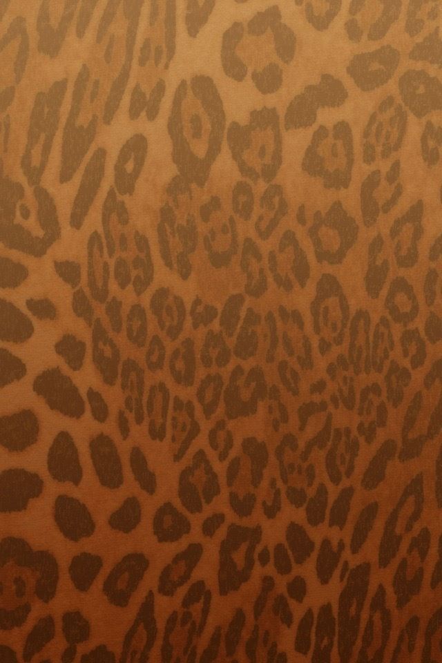 xoxowoahhdri OnlyFans profile picture