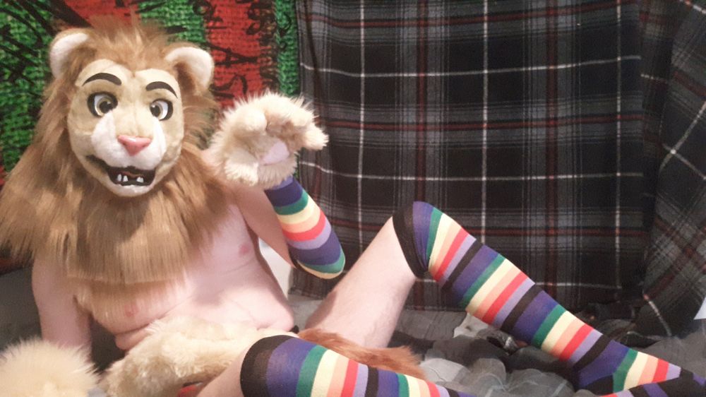 alphonselynx OnlyFans profile picture