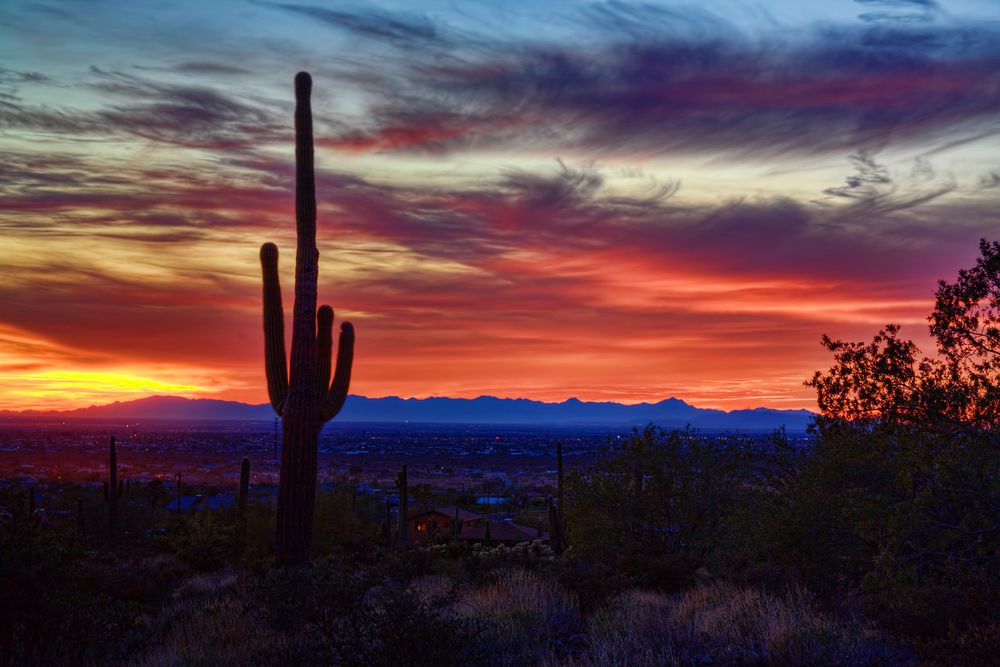 arizonasunset OnlyFans profile picture