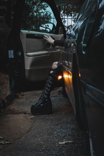 lilythelincoln OnlyFans - Free Trial - Photos - Socials | FansMetrics.com