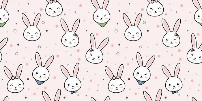 shyfeetbunny OnlyFans profile picture