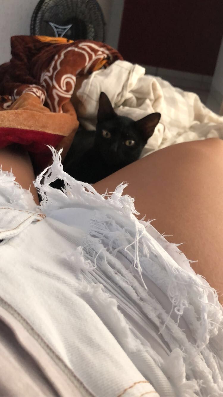 eijade OnlyFans profile picture