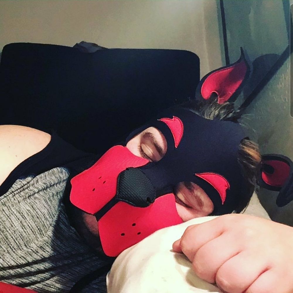 pupgunther OnlyFans profile picture