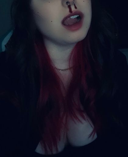 urlillapdog OnlyFans picture