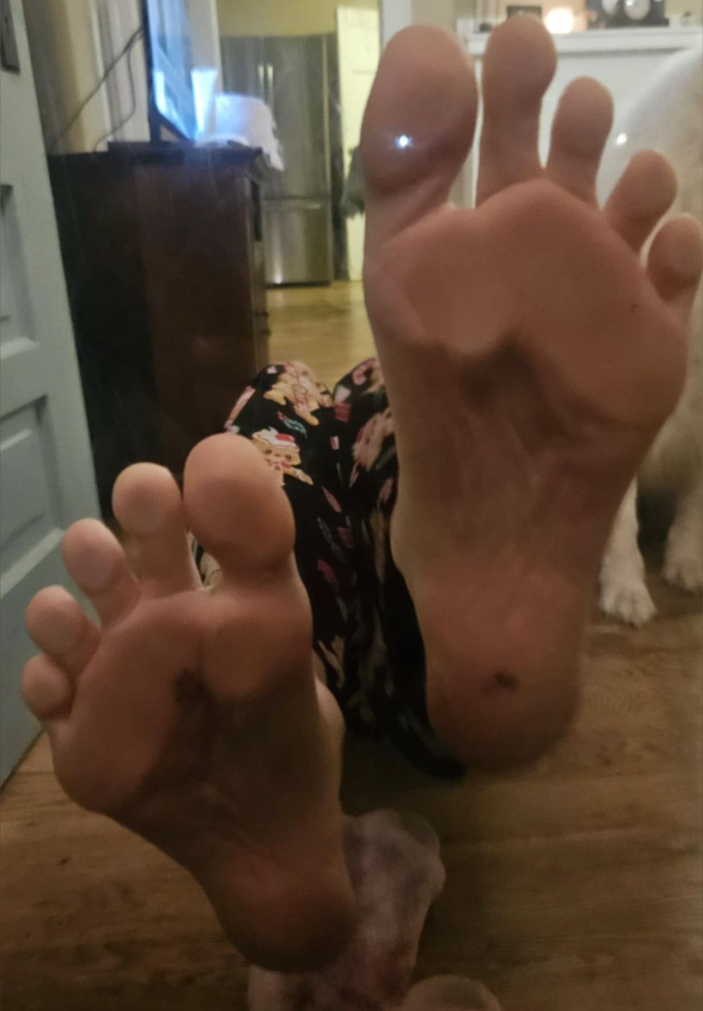 feetrodeojane OnlyFans profile picture