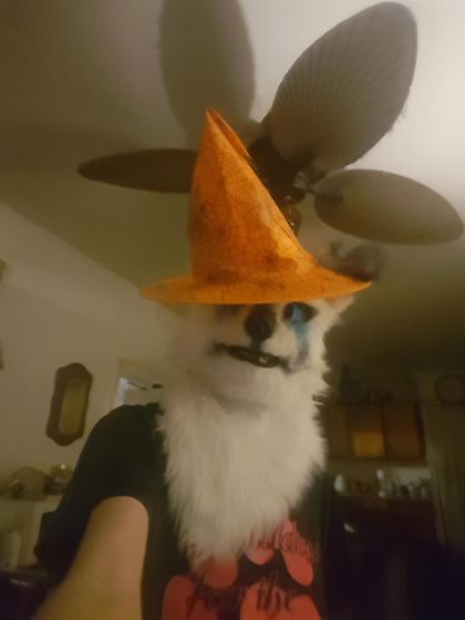 katiethwwolfy93 OnlyFans picture