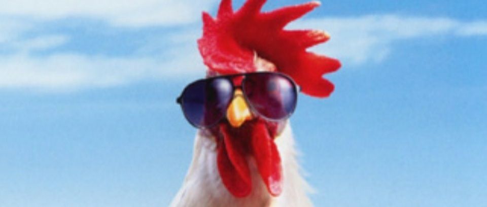 roosterschicks OnlyFans profile picture