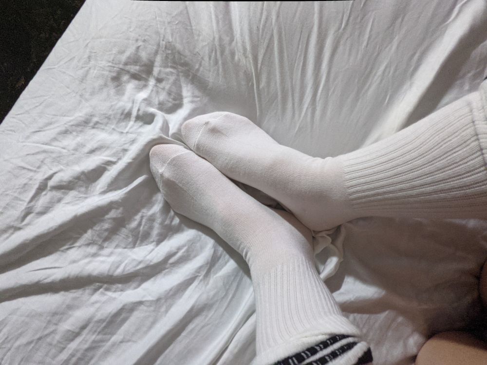 lilas_lil_piggies OnlyFans profile picture