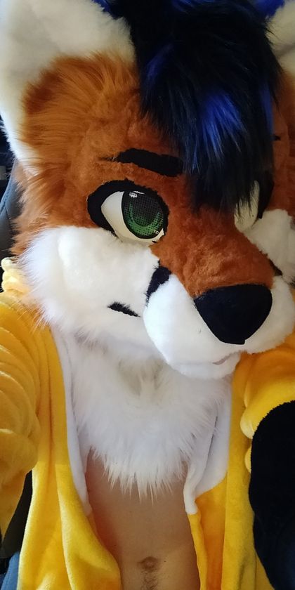 noctafox OnlyFans picture